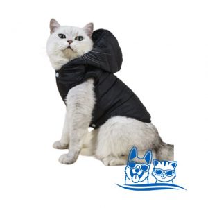 Abrigo Liso con Capucha